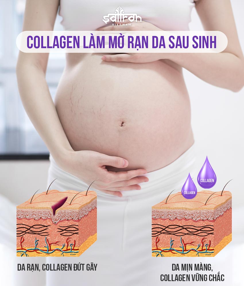 Không ảnh hưởng tới quá trình mang thai và sau sinh