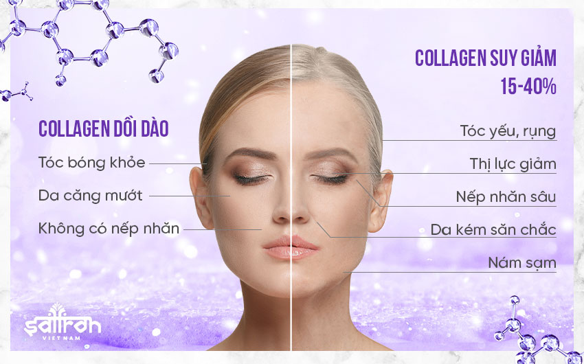 1. Hiểu rõ bản chất collagen