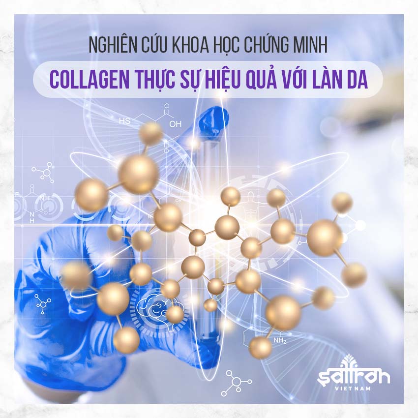 2.1. Hiệu quả uống collagen đã được nghiên cứu và chứng minh